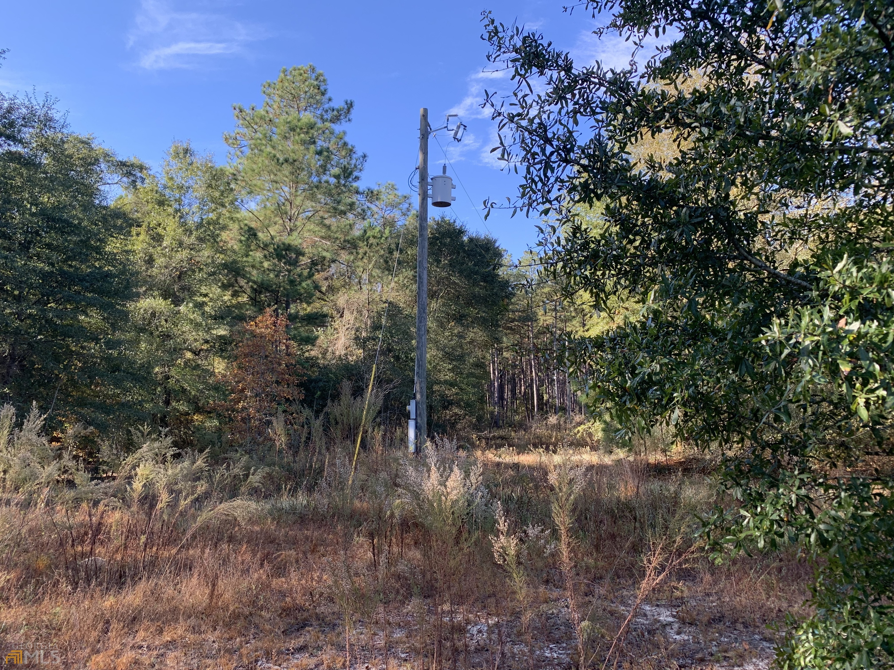 0 Irvin Road McRae-Helena, GA 31037 - Photo 1 of 1 Gallery Image 1