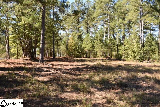 175 Kellett Road, Unit LOT 3 Honea Path, SC 29654 - Photo 11 of 14 Gallery Image 11