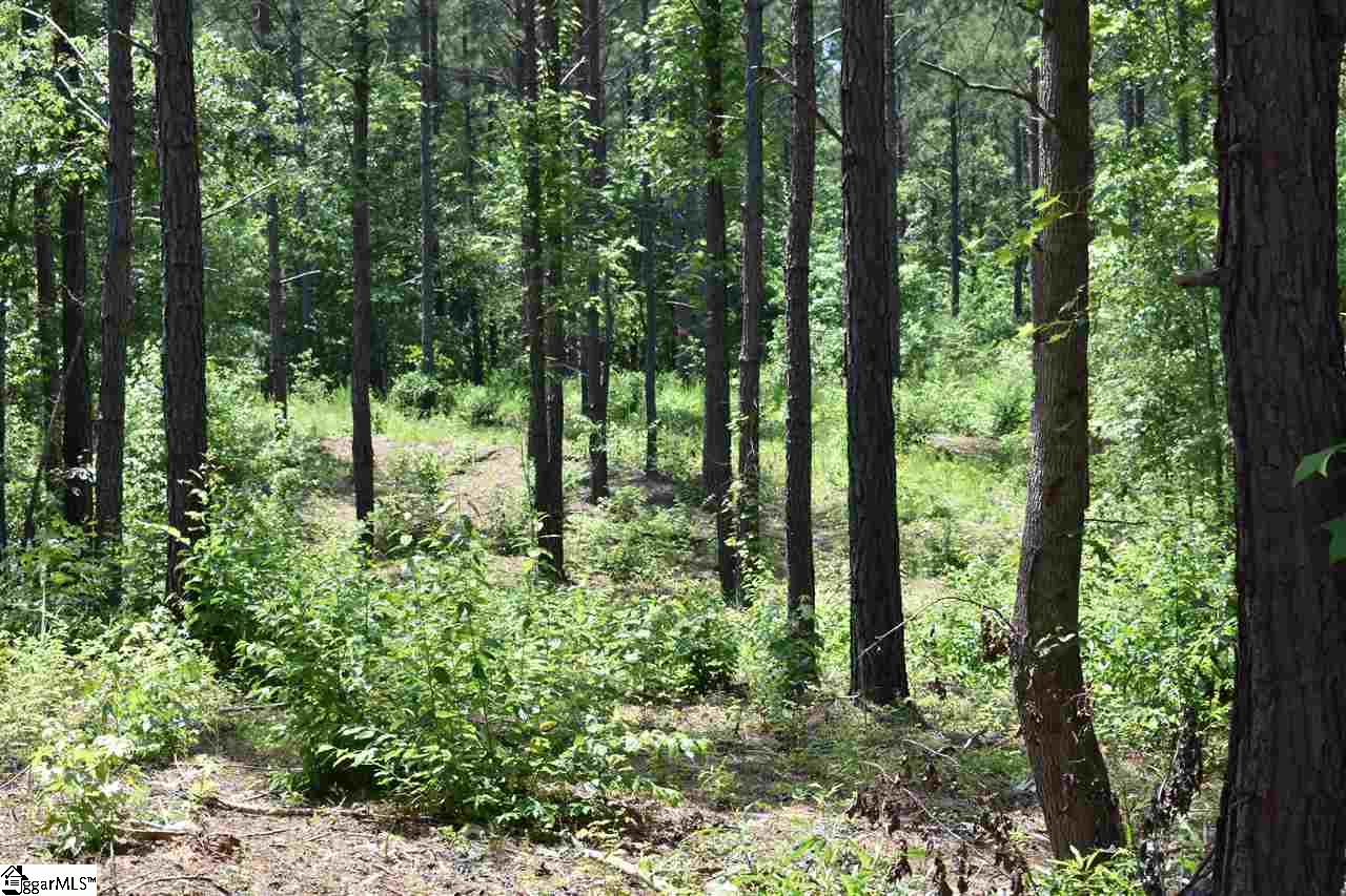 175 Kellett Road, Unit LOT 3 Honea Path, SC 29654 - Photo 12 of 14 Gallery Image 12