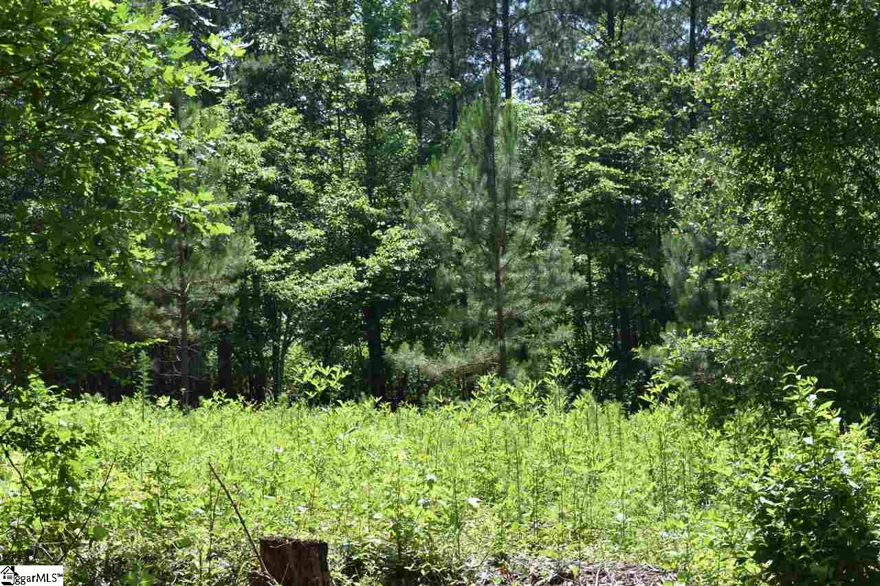 175 Kellett Road, Unit LOT 3 Honea Path, SC 29654 - Photo 13 of 14 Gallery Image 13