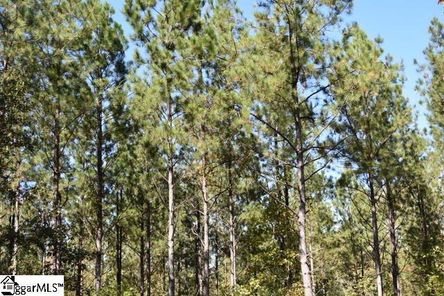 175 Kellett Road, Unit LOT 3 Honea Path, SC 29654 - Photo 3 of 14 Gallery Image 3