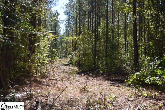 175 Kellett Road, Unit LOT 3 Honea Path, SC 29654 - Photo 6 of 14 Gallery Image 6