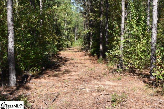 175 Kellett Road, Unit LOT 3 Honea Path, SC 29654 - Photo 10 of 14 Gallery Image 10