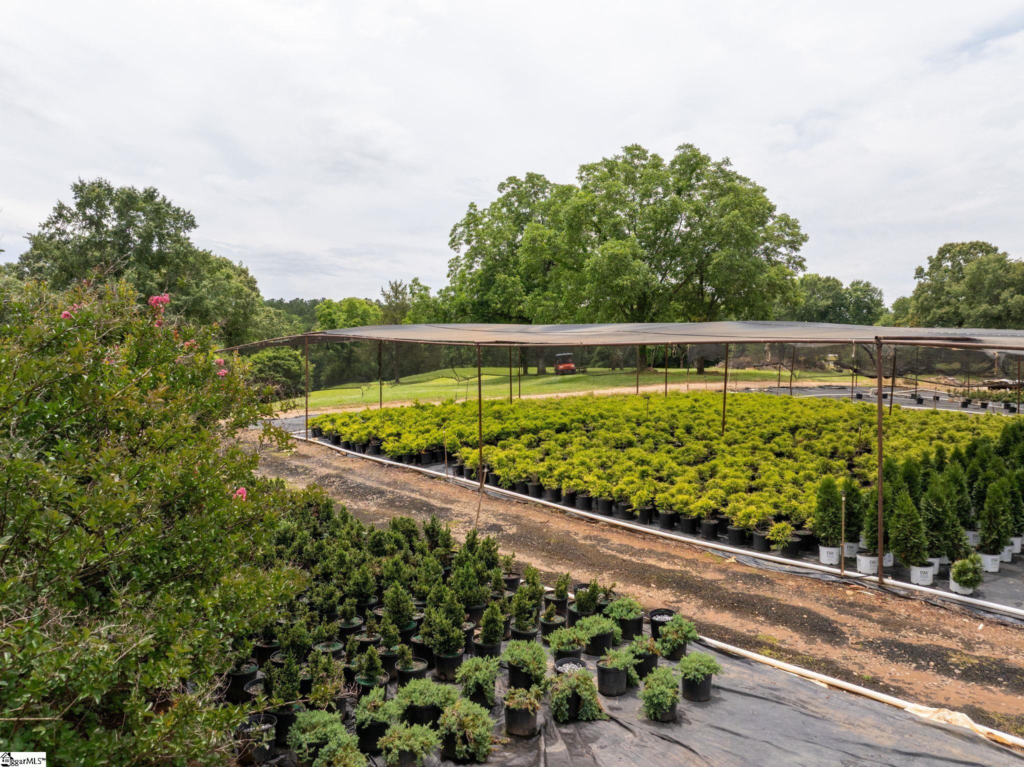 1350 Lee Cudd Road Rutherfordton, NC 28139 - Photo 10 of 34