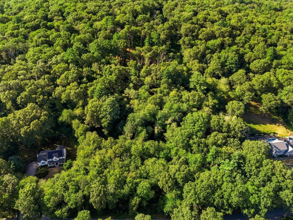 45 Pineswamp Road Ipswich, MA 01938 - Photo 13 of 17 a view of a house with a lush green forest