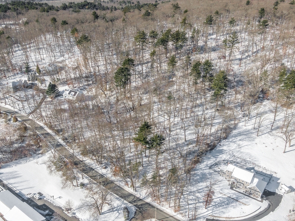 45 Pineswamp Road Ipswich, MA 01938 - Photo 17 of 17 a picture of a tree in the background