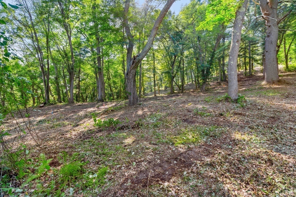 45 Pineswamp Road Ipswich, MA 01938 - Photo 6 of 17 a view of outdoor space and green space