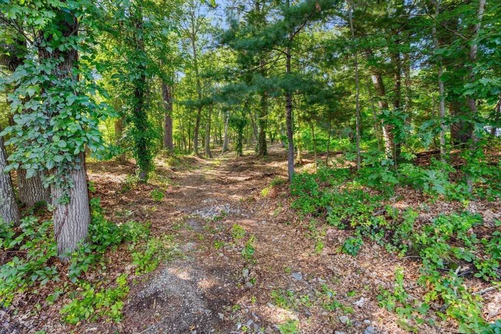 45 Pineswamp Road Ipswich, MA 01938 - Photo 8 of 17 a view of a forest with trees in the background