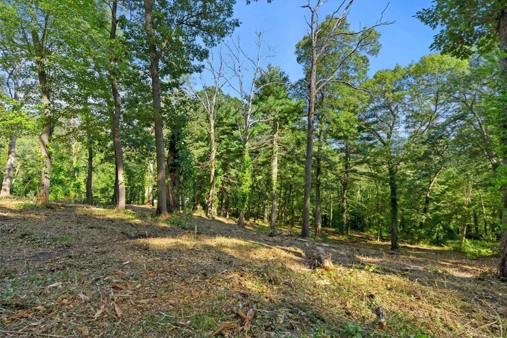 45 Pineswamp Road Ipswich, MA 01938 - Photo 10 of 17 a view of outdoor space with trees