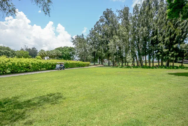 a view of a field with grass and trees