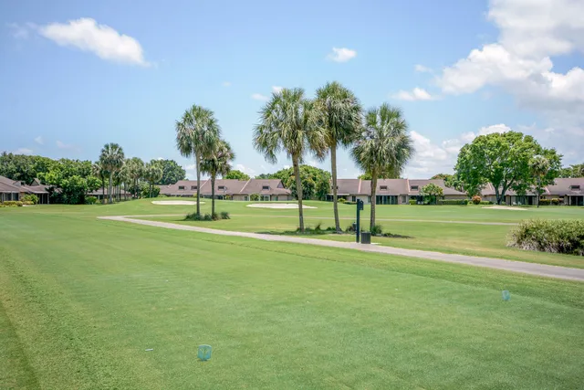 a view of a park with palm trees
