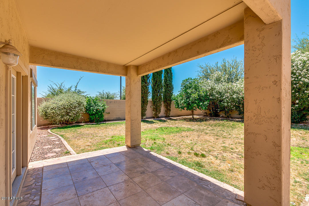 4581 East Ruffian Road Gilbert, AZ 85297 - Photo 43 of 57 PATIO
