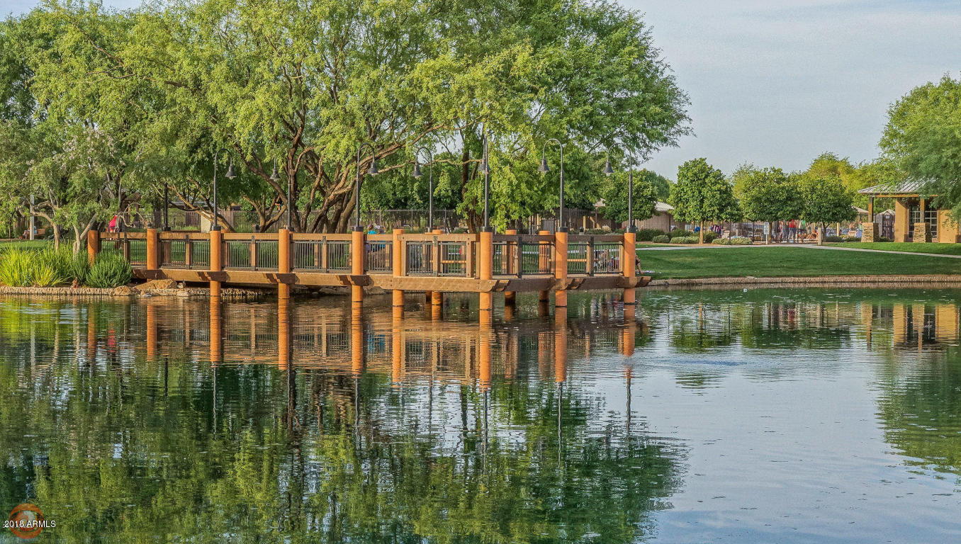 4581 East Ruffian Road Gilbert, AZ 85297 - Photo 52 of 57 PWER RANCH DOCK