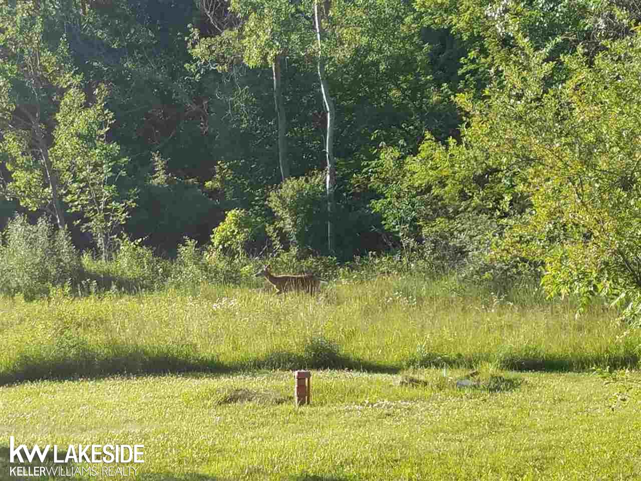 13410 Foley Road Emmett, MI 48022 - Photo 2 of 25
