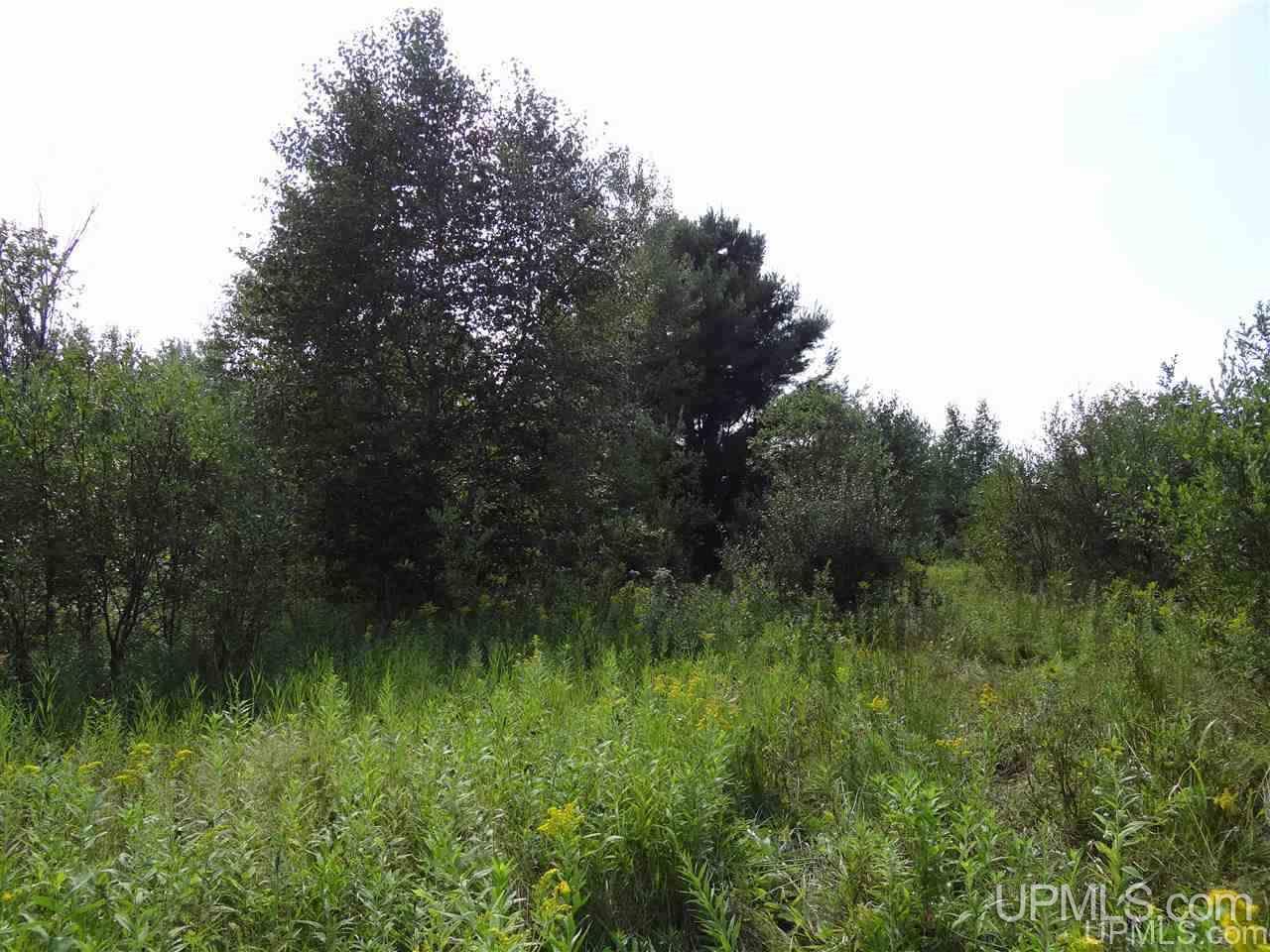 Tbd Off Denton Road Chassell, MI 49931 - Photo 11 of 19