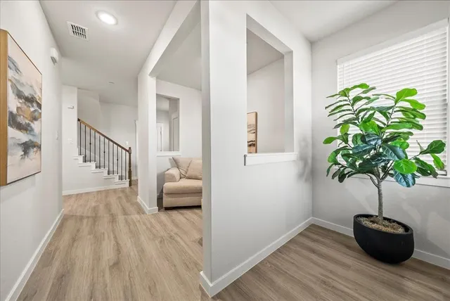 a living room with furniture and a potted plant