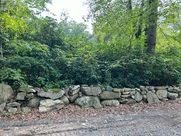 a view of a backyard with chairs and potted plants