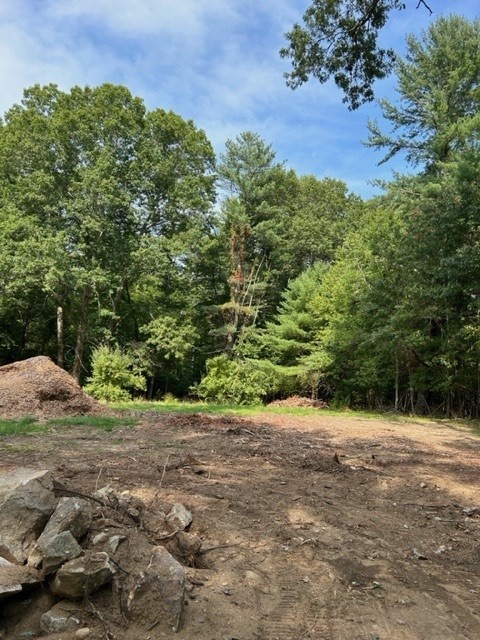 2a Old Road Duxbury, MA 02332 - Photo 3 of 19 a view of a yard with plants and a trees