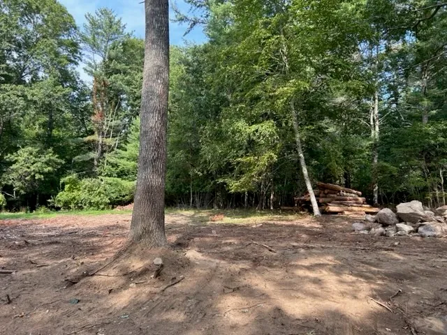a backyard of a house with lots of green space