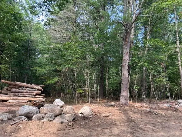 a view of outdoor space with deck and yard