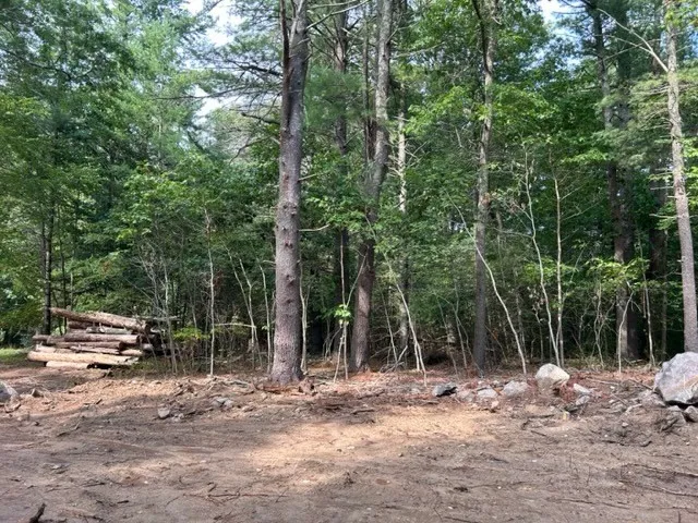 a view of backyard with green space