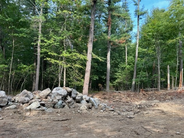 2a Old Road Duxbury, MA 02332 - Photo 8 of 19 a view of backyard with green space