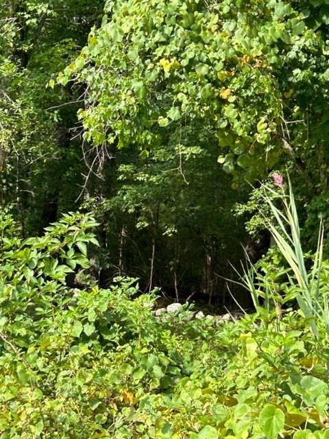 2a Old Road Duxbury, MA 02332 - Photo 10 of 19 a backyard of a house