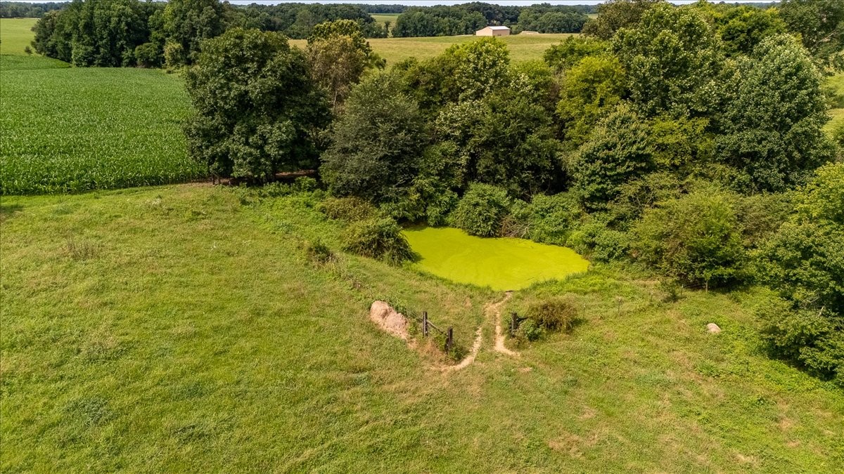 0 Marks Road Leoma, TN 38468 - Photo 13 of 25