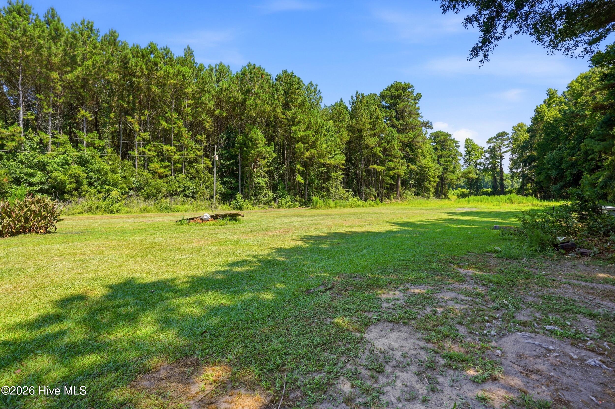 4040 Willard Road Willard, NC 28478 - Photo 47 of 66