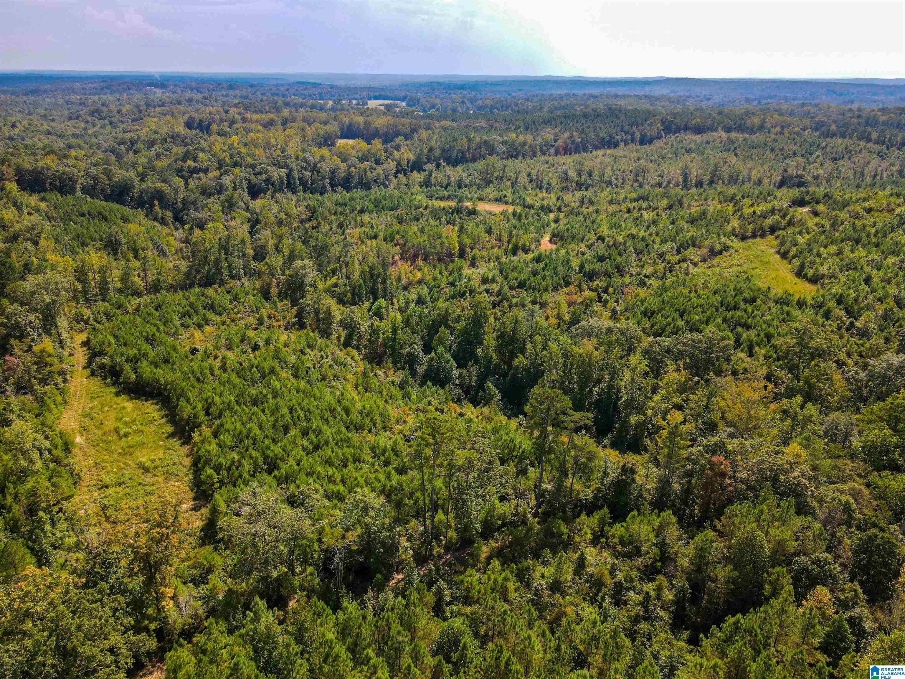 1 Highway 13, Unit 1 Berry, AL 35546 - Photo 15 of 52