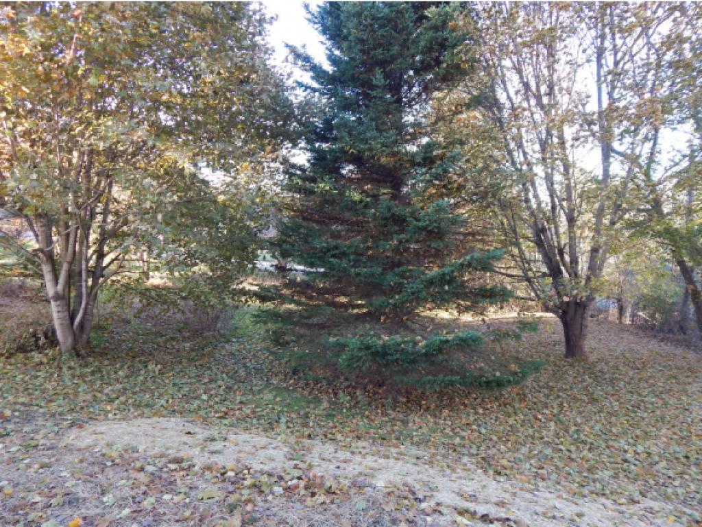 148 Bethlehem Road Littleton, NH 03561 - Photo 26 of 36 Gallery Image 26