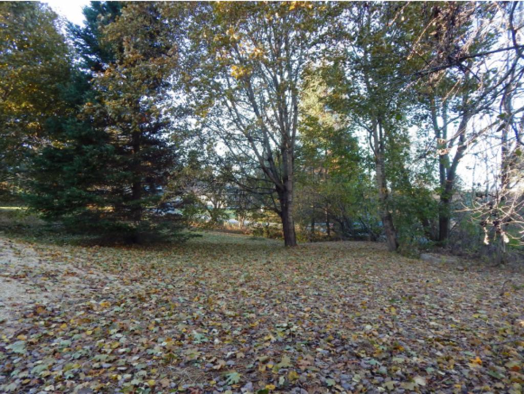 148 Bethlehem Road Littleton, NH 03561 - Photo 28 of 36 Gallery Image 28