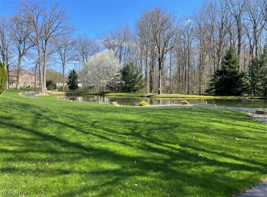 191 Mathews Road, Unit A Youngstown, OH 44512 - Photo 6 of 19