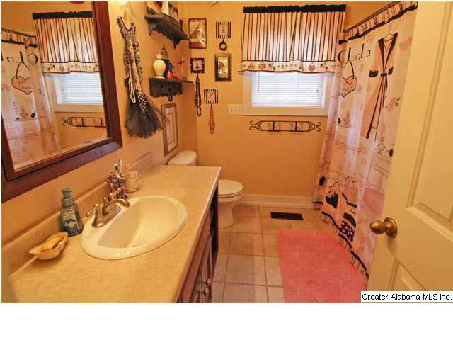217 20th Street Oneonta, AL 35121 - Photo 10 of 14