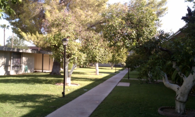 3242 East Camelback Road, Unit 108 Phoenix, AZ 85018 - Photo 13 of 13 a view of a lake view