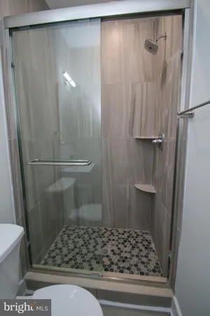 a bathroom with a shower and a toilet