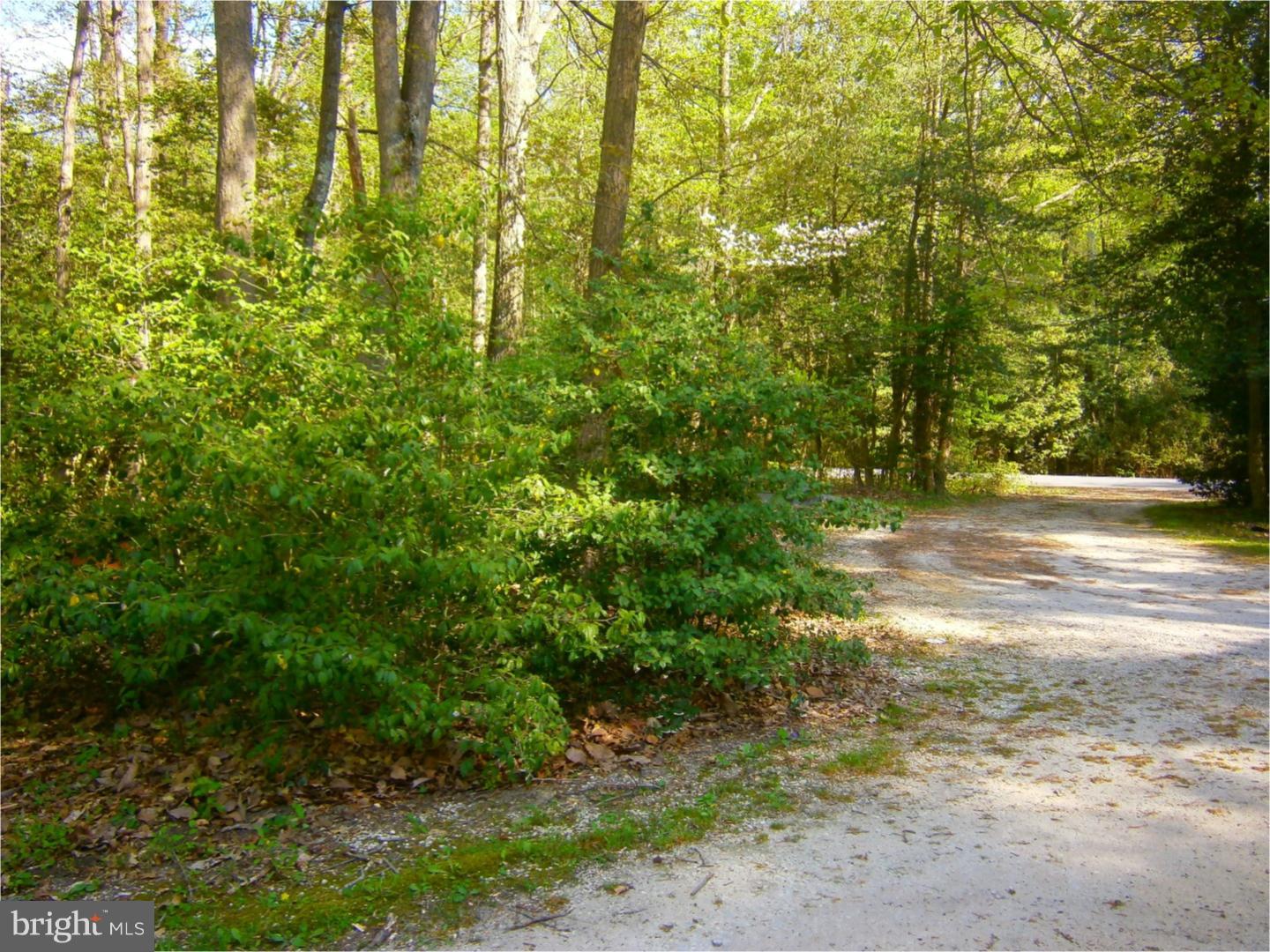 119 Island Road Monroeville, NJ 08343 - Photo 3 of 5
