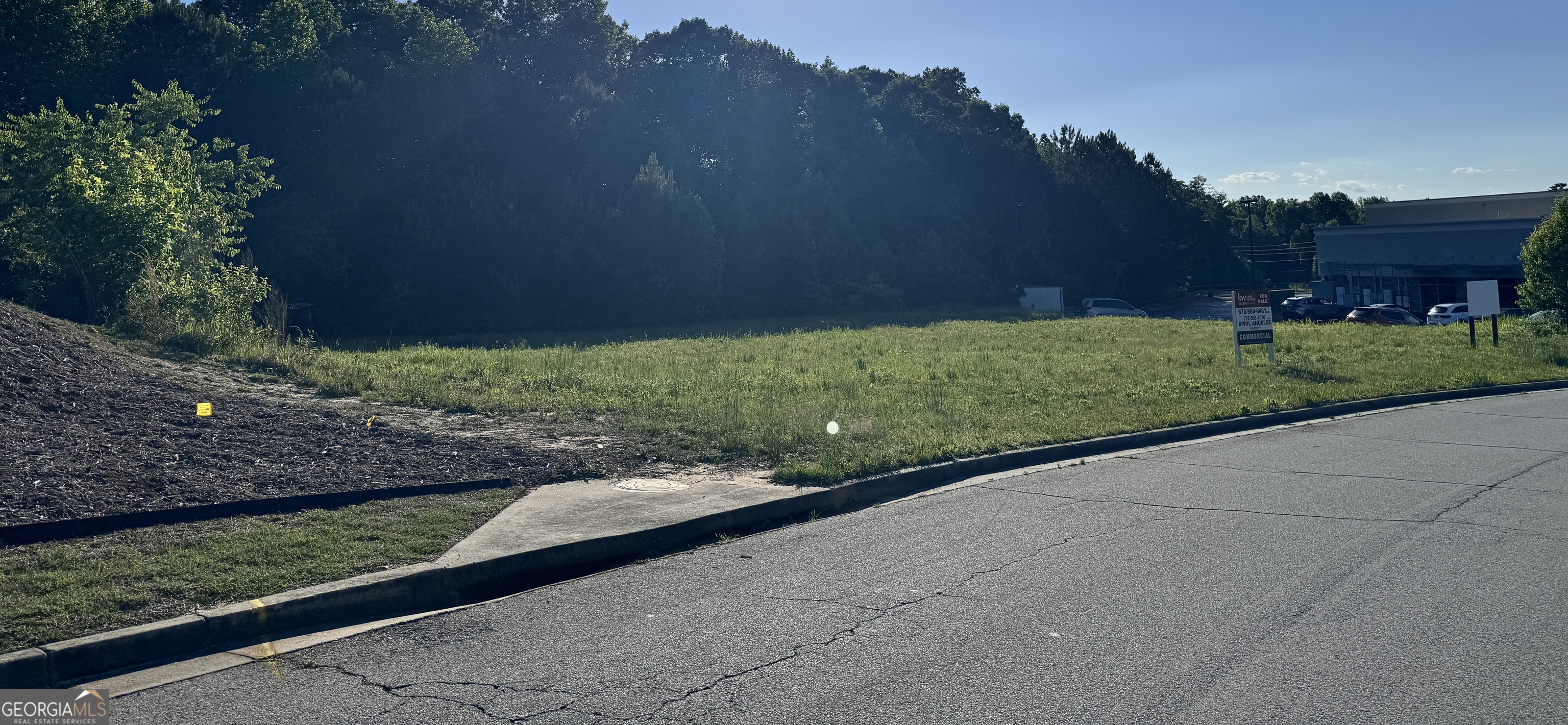 2342 Sparta Way Braselton, GA 30519 - Photo 8 of 25 a view of a backyard