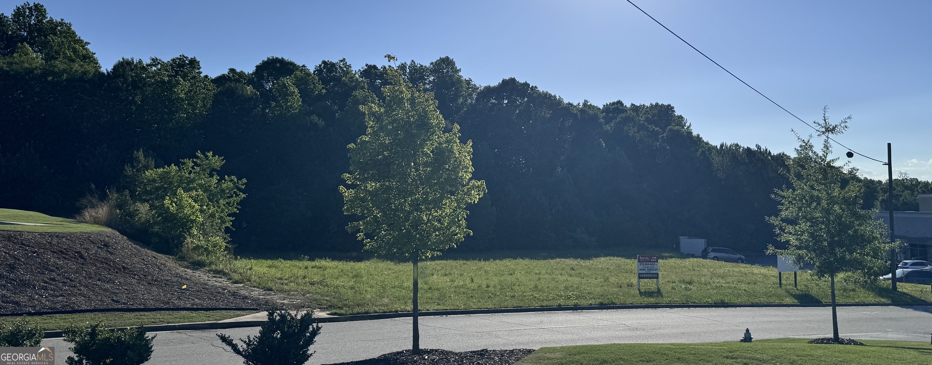 2342 Sparta Way Braselton, GA 30519 - Photo 10 of 25 a view of a yard