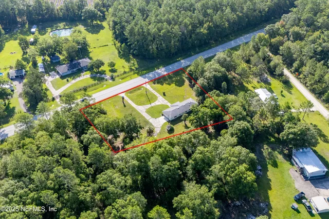 a view of a garden with plants