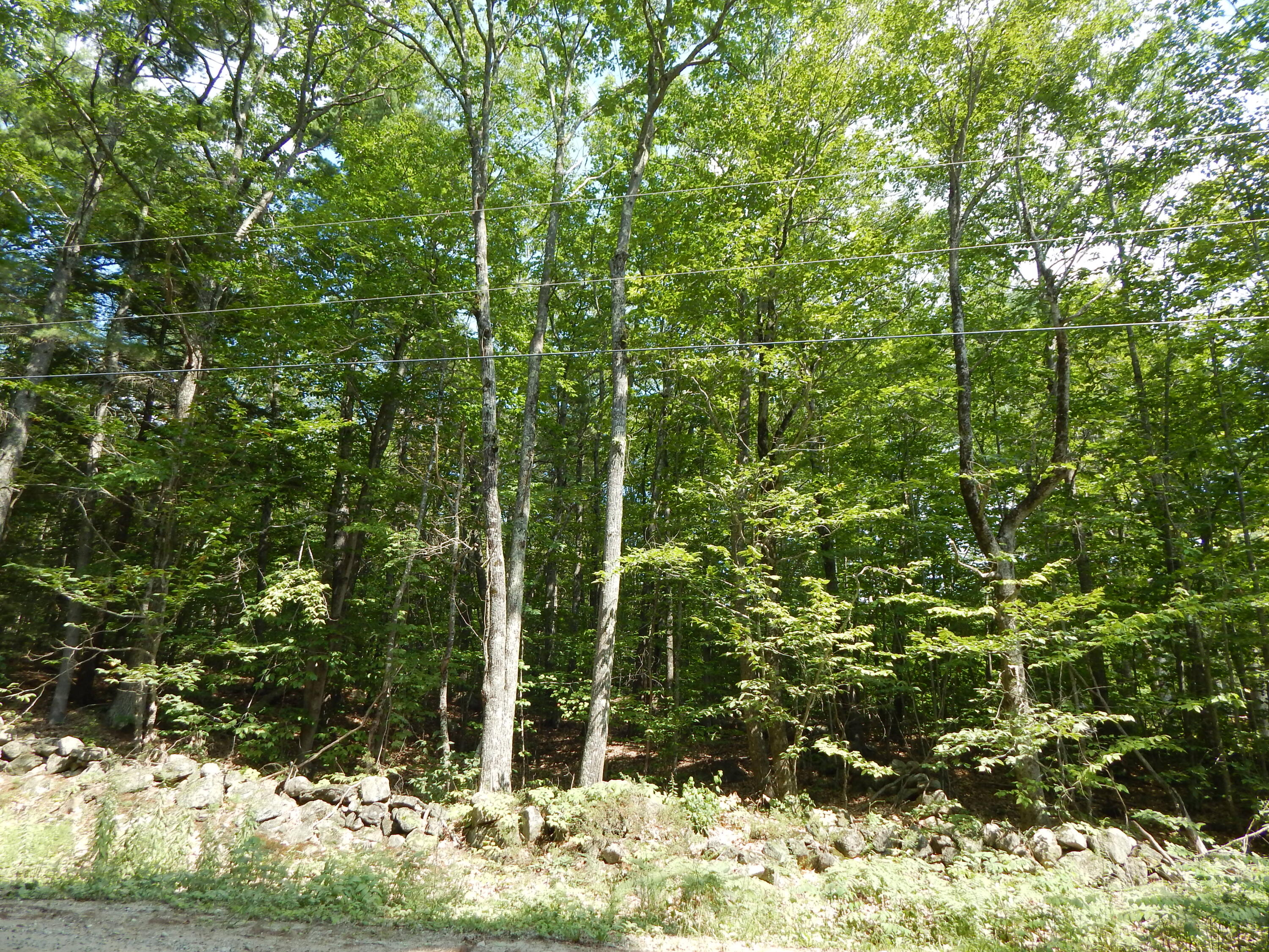 Lot 6 Maplecrest Road Parsonsfield, ME 04047 - Photo 17 of 17 DSCN3374