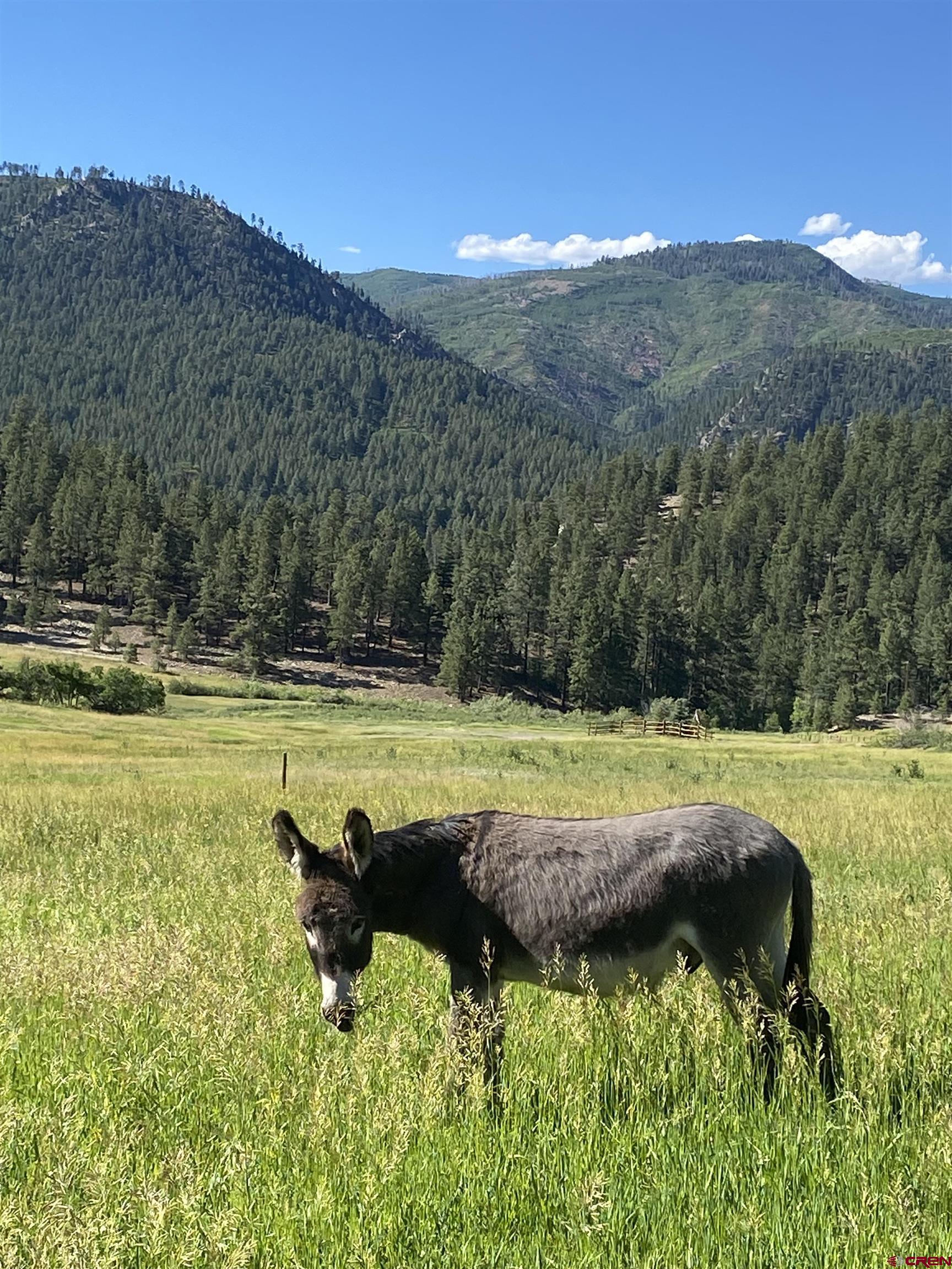 250 Sunset Lane Durango, CO 81301 - Photo 34 of 44