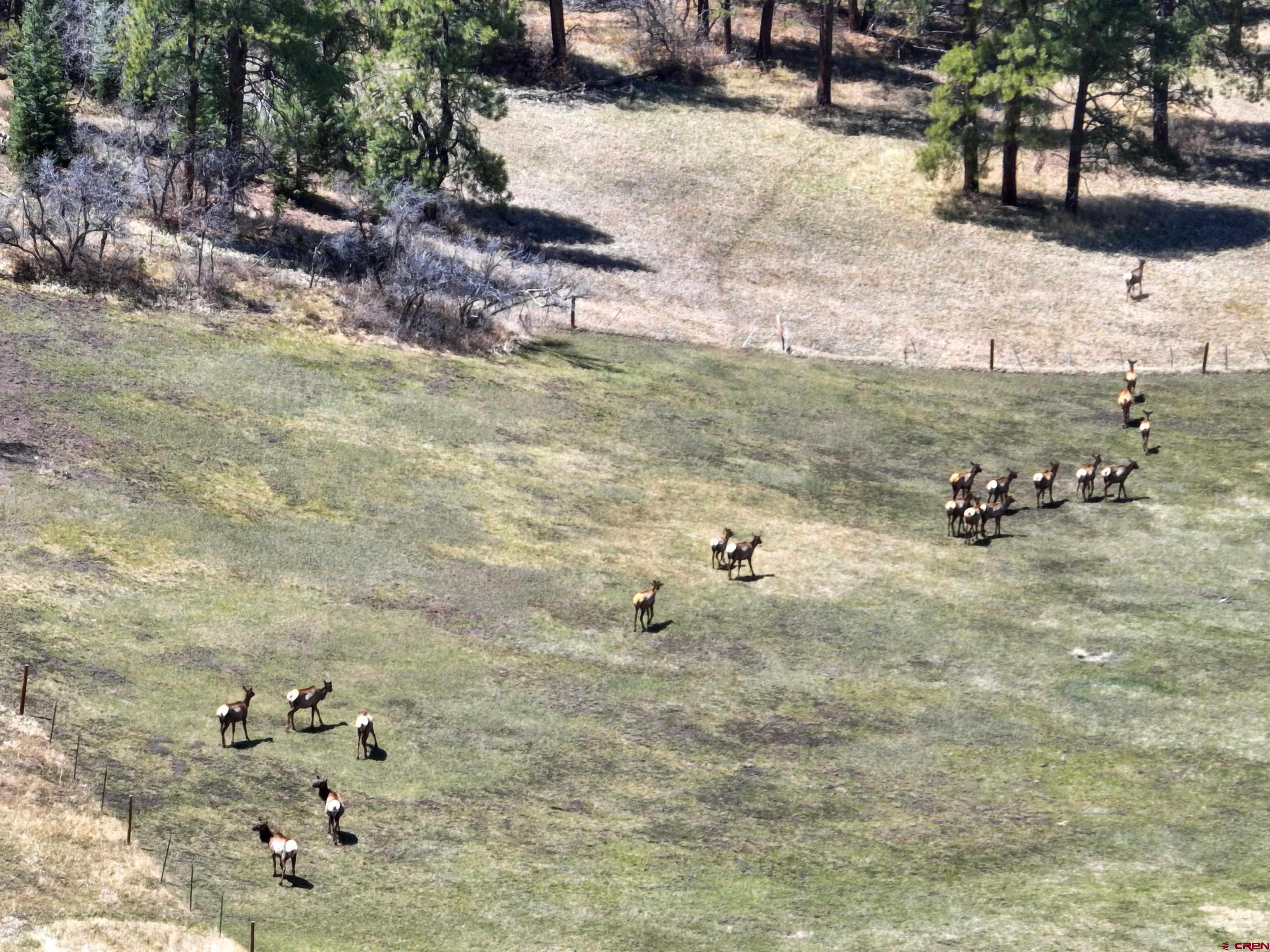 250 Sunset Lane Durango, CO 81301 - Photo 42 of 44