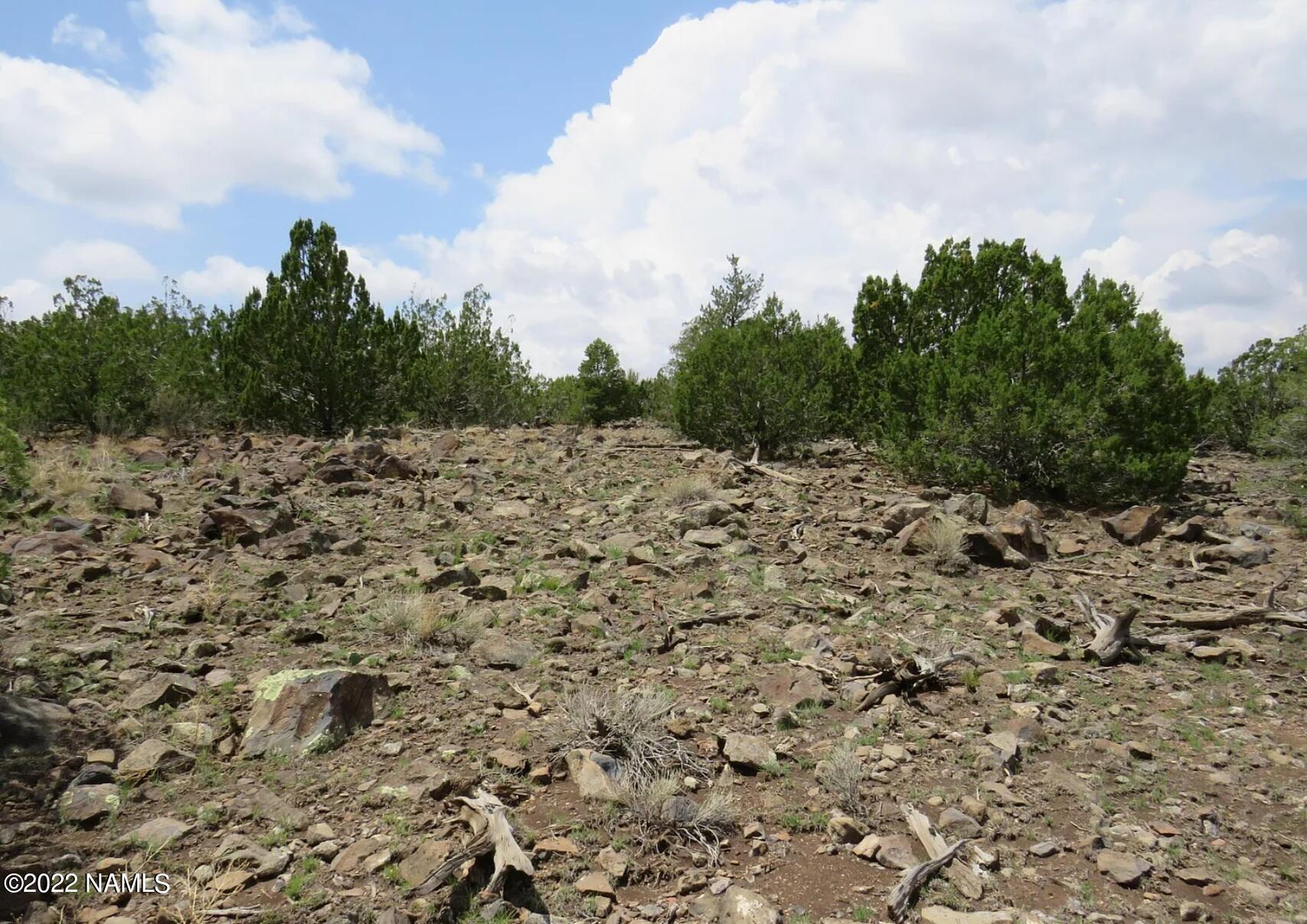 12663 Mesa View Road Williams, AZ 86046 - Photo 5 of 18 Screenshot_20221215_043019_Premier Agent