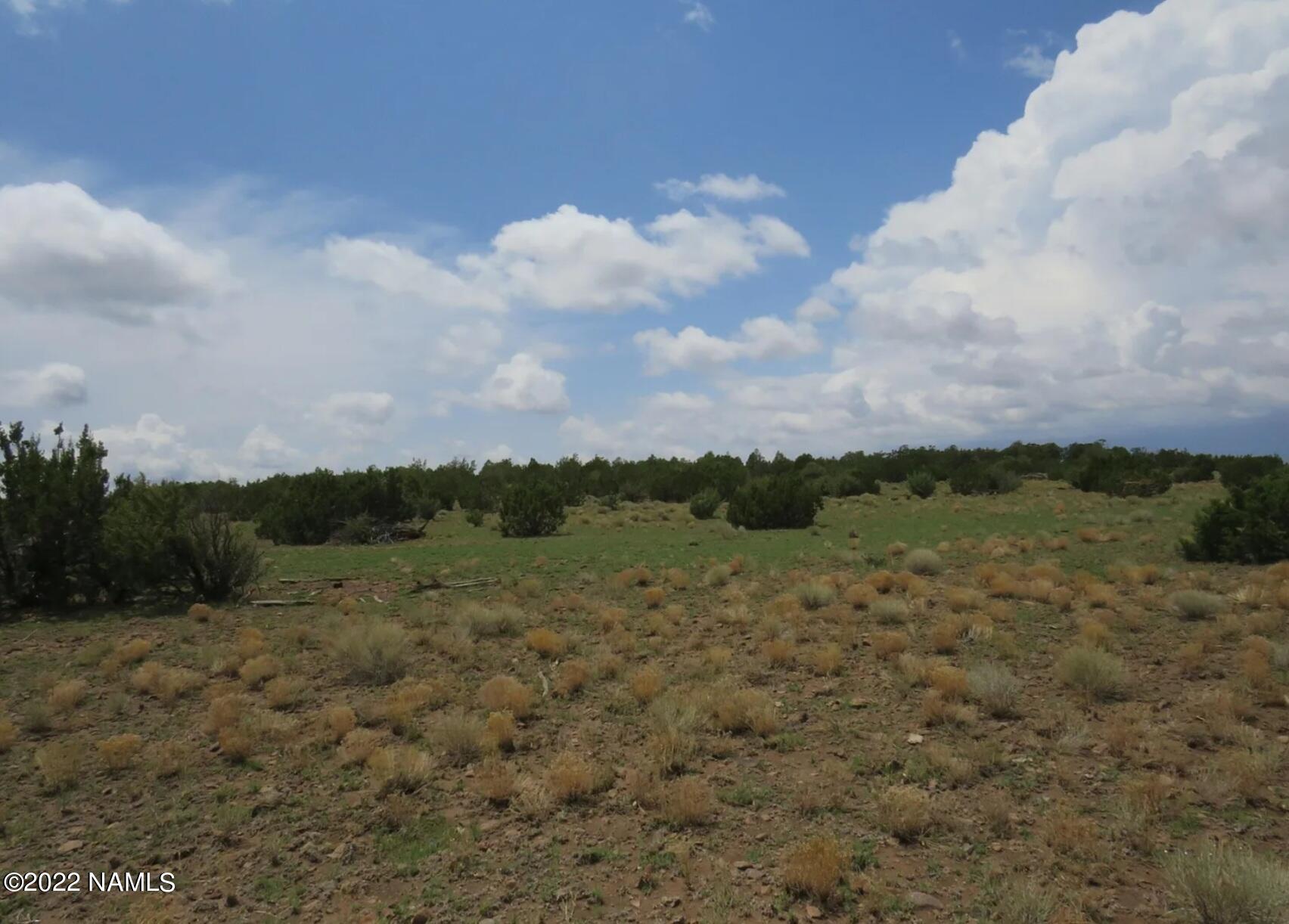 12663 Mesa View Road Williams, AZ 86046 - Photo 7 of 18 Screenshot_20221215_042948_Premier Agent