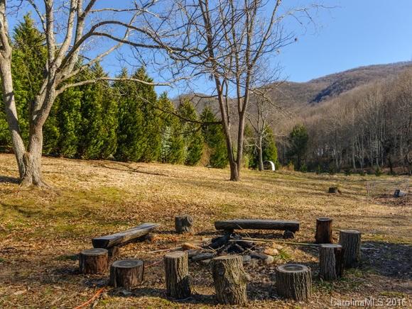 3512 Newfound Road Canton, NC 28716 - Photo 18 of 22