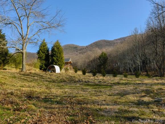 3512 Newfound Road Canton, NC 28716 - Photo 19 of 22