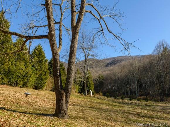3512 Newfound Road Canton, NC 28716 - Photo 20 of 22