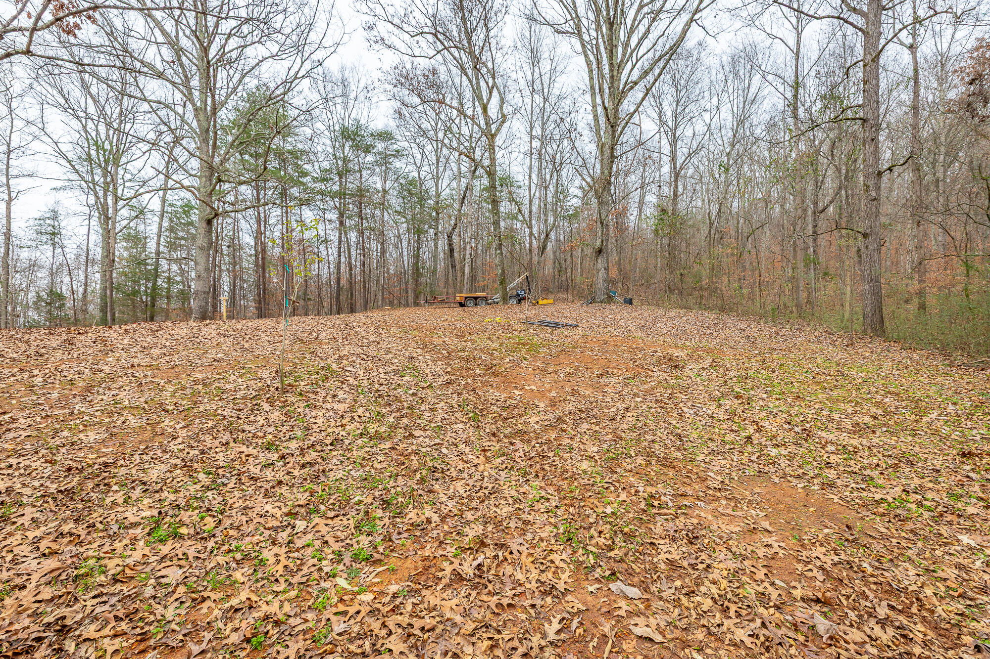 670 Sherry Road Jasper, TN 37347 - Photo 11 of 52 670 Sherry Road HD-46