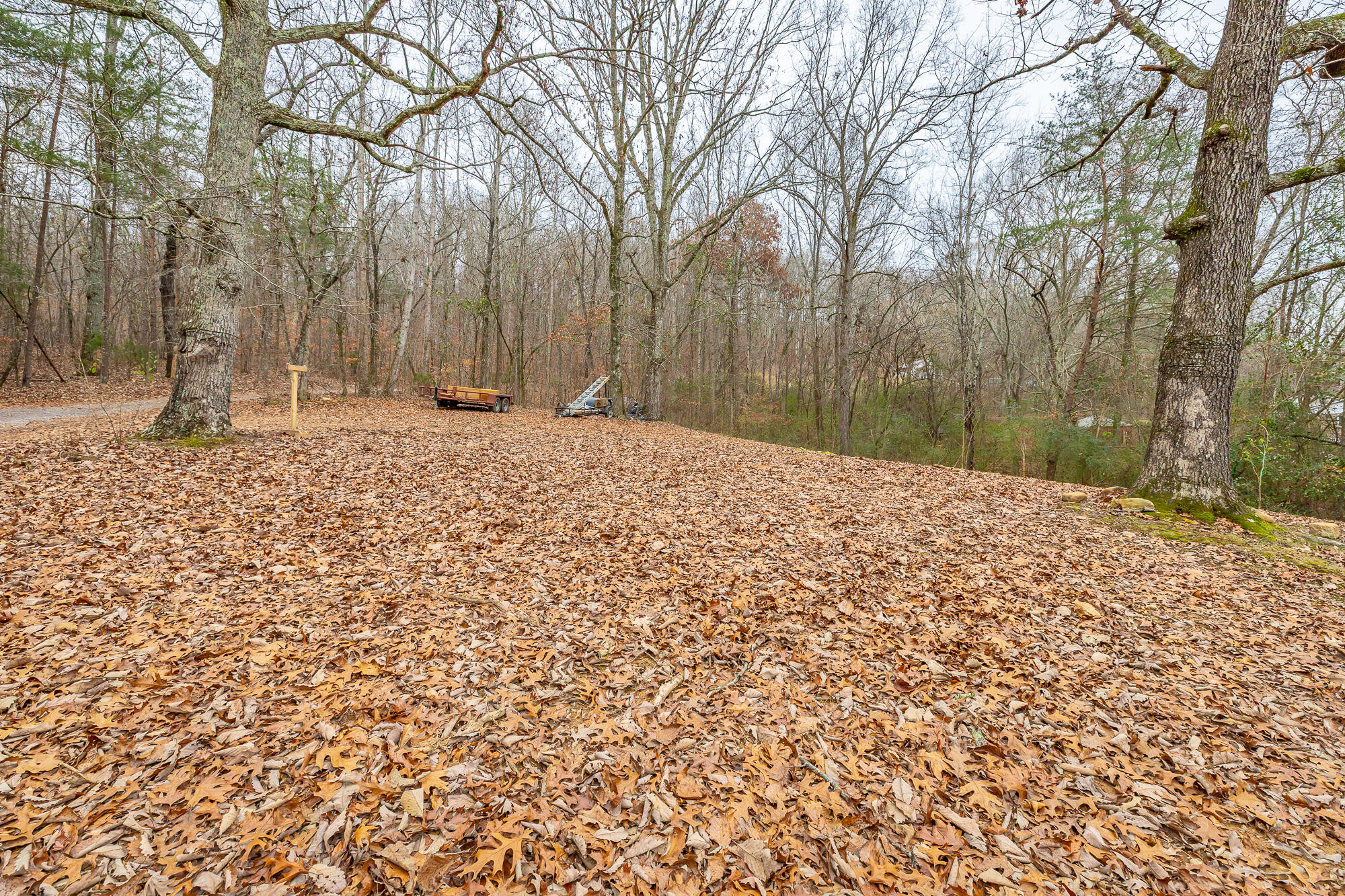670 Sherry Road Jasper, TN 37347 - Photo 48 of 52 670 Sherry Road HD-52